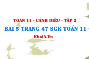 Bài 5 trang 47 Toán 11 tập 2 Cánh Diều